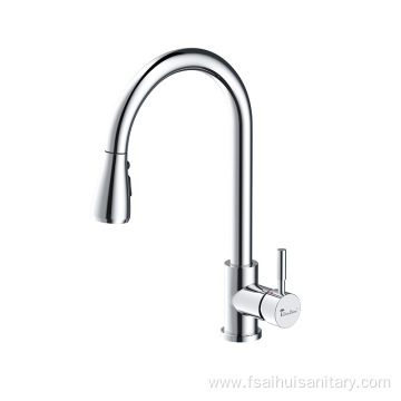 Single-Handle Kitchen Sink Faucet with Pull out Sprayer